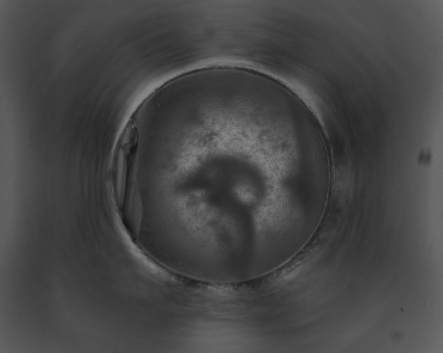 X0000091640911200708301356