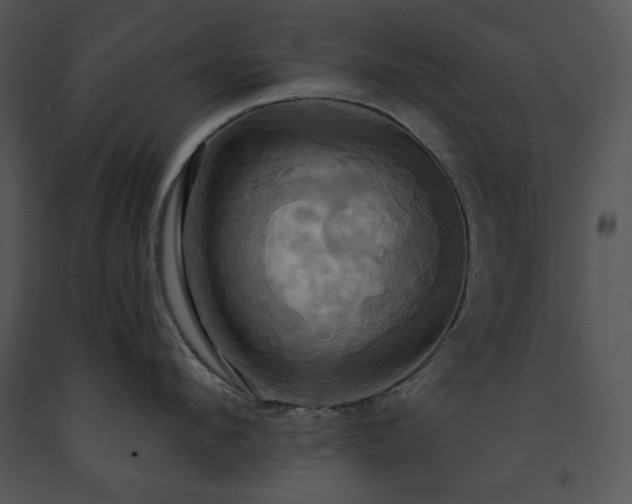 X0000091640912200708301356