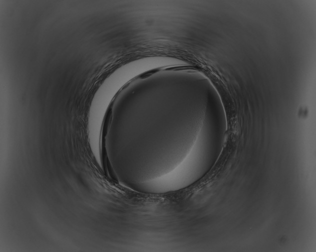 X0000091640916200708301355