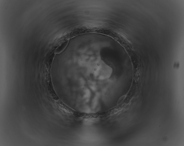 X0000091640917200708301355