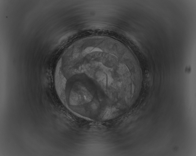 X0000091640918200708301355