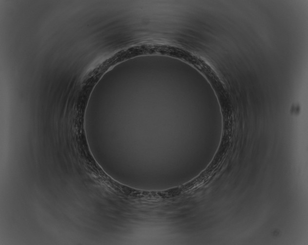 X0000091640919200708301355
