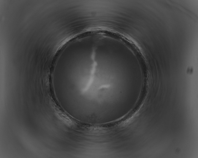 X0000091640921200708301355