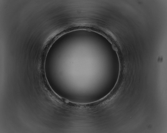 X0000091640922200708301355