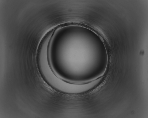 X0000091640924200708301355