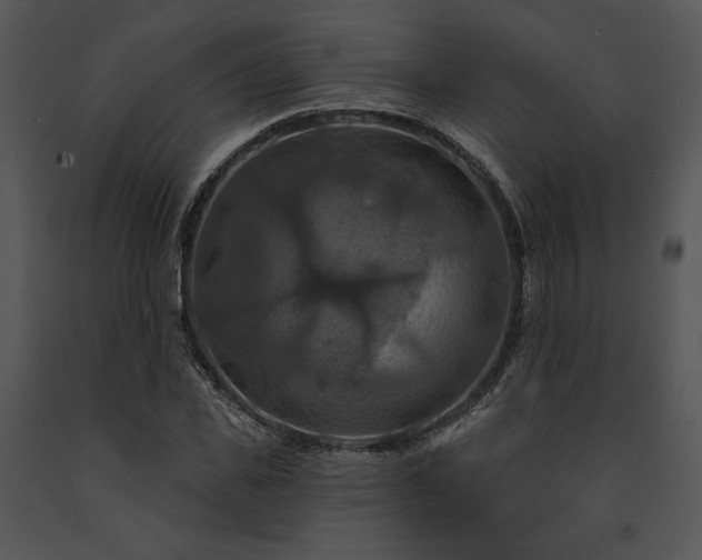 X0000091640925200708301355