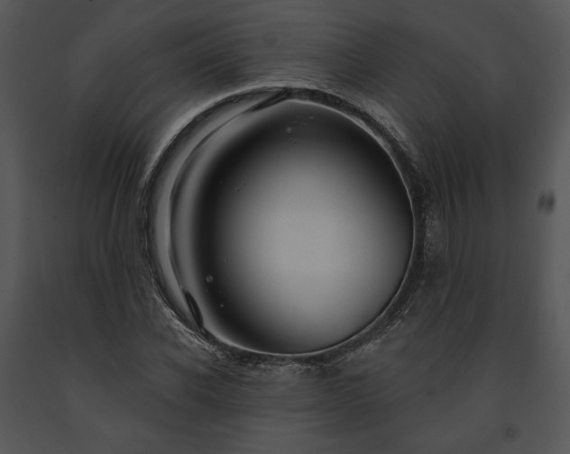 X0000091640926200708301355