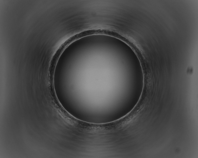 X0000091640927200708301355