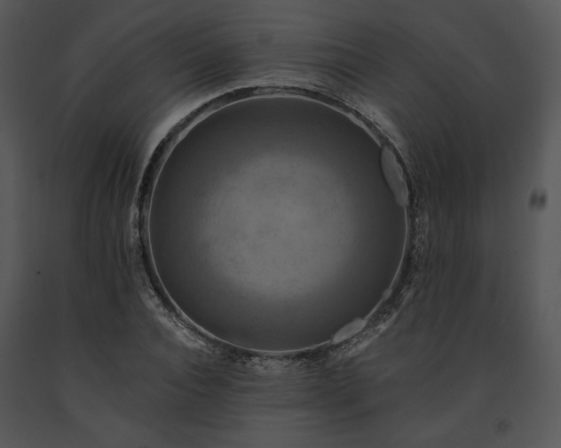 X0000091640928200708301355