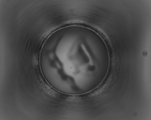 X0000091640929200708301355