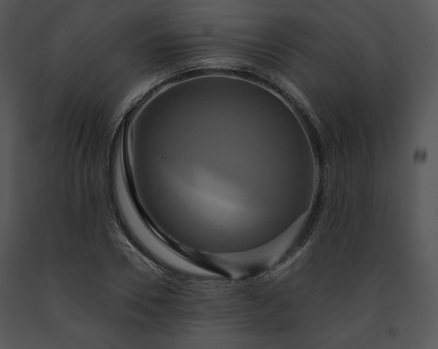 X0000091640930200708301355