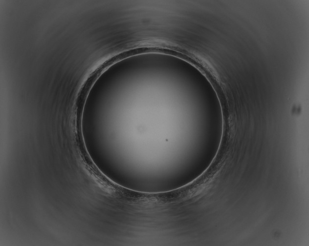 X0000091640931200708301355