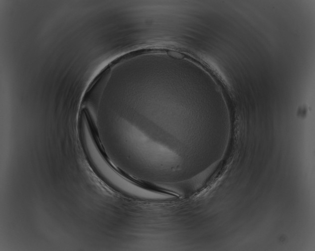 X0000091640932200708301355