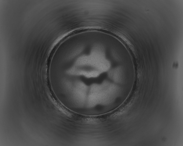 X0000091640933200708301355