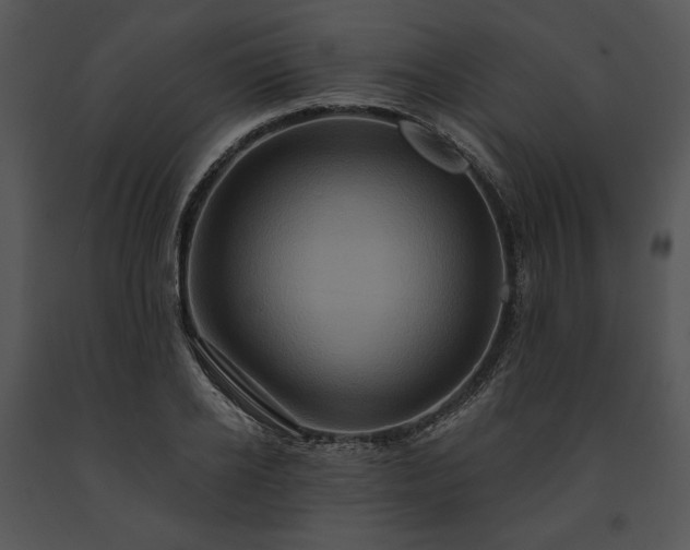 X0000091640934200708301355