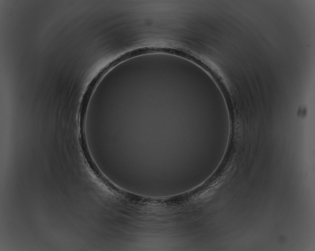 X0000091640935200708301355