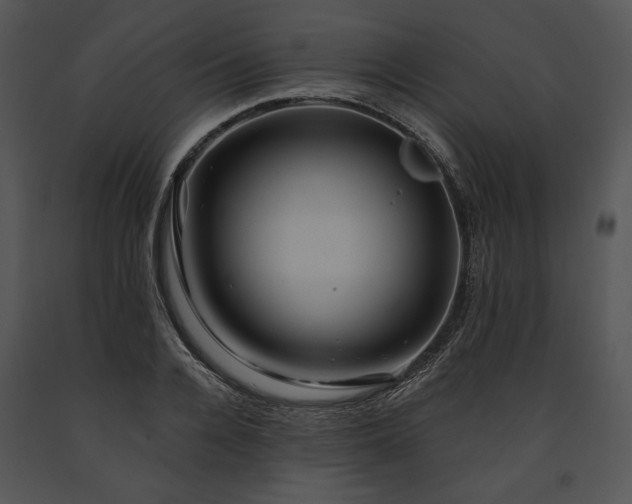 X0000091640936200708301355