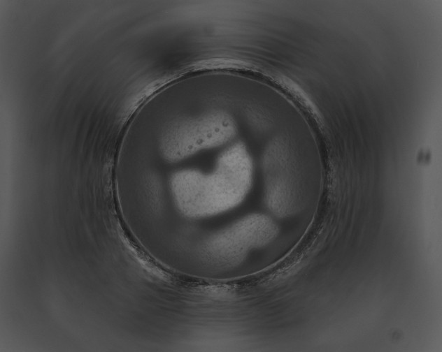 X0000091640937200708301355