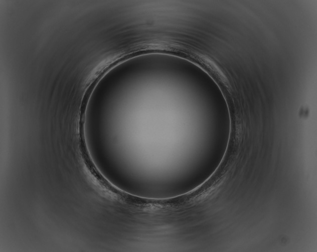 X0000091640938200708301355