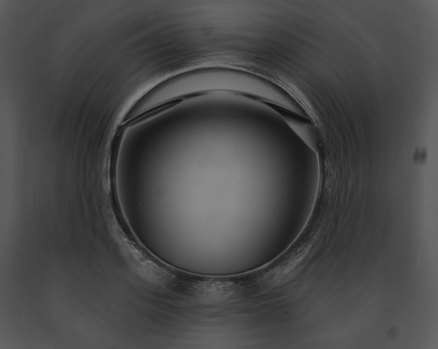 X0000091640939200708301355