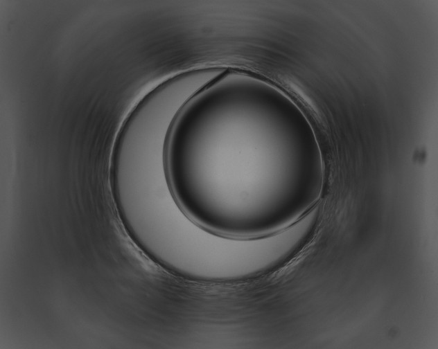 X0000091640940200708301356