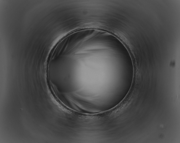 X0000091640941200708301356