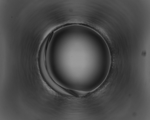 X0000091640942200708301356