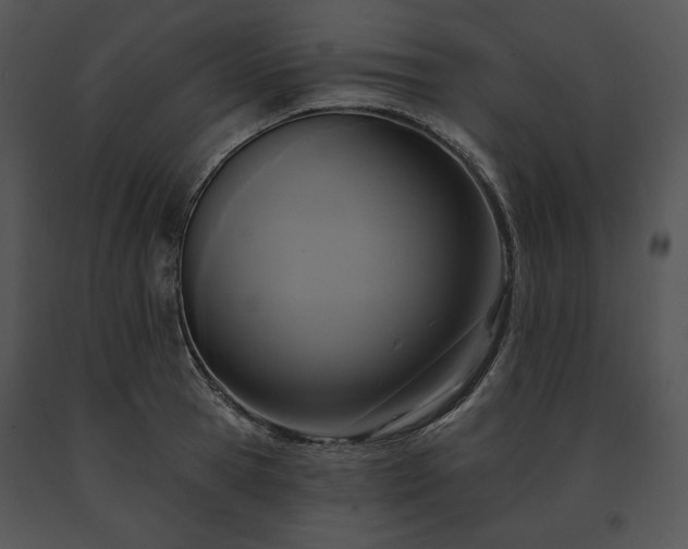 X0000091640945200708301356
