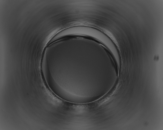 X0000091640946200708301356