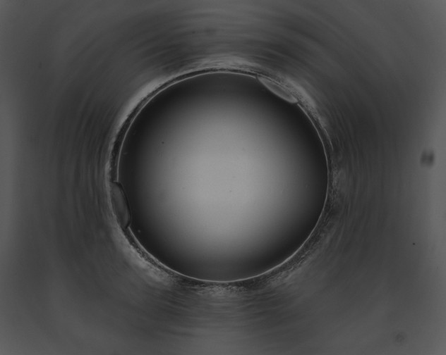 X0000091640947200708301356