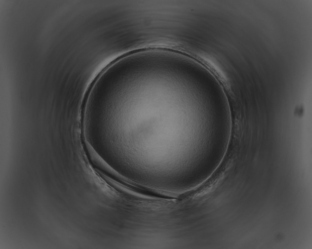 X0000091640948200708301356
