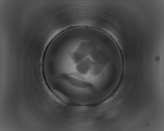 X0000091640949200708301356