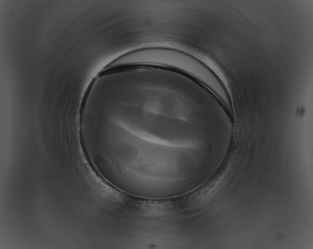 X0000091640951200708301356