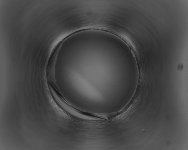 X0000091640952200708301356