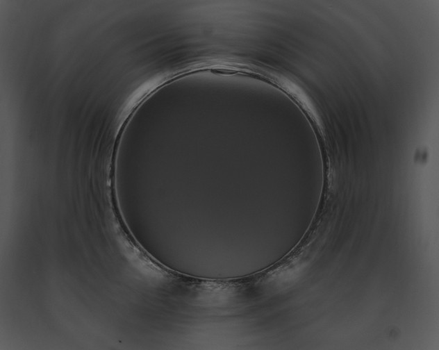 X0000091640954200708301356