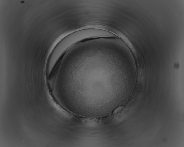 X0000091640955200708301356