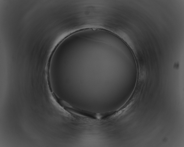 X0000091640958200708301356