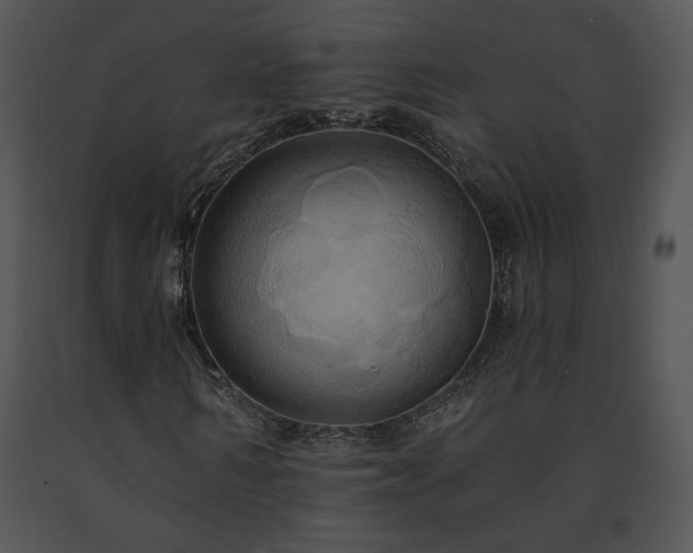 X0000091640962200708301355