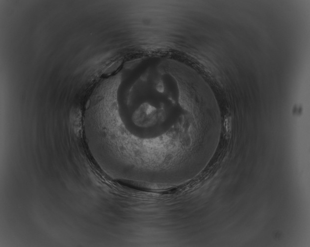 X0000091640963200708301355
