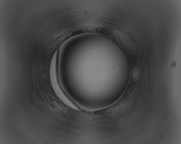 X0000091640964200708301355