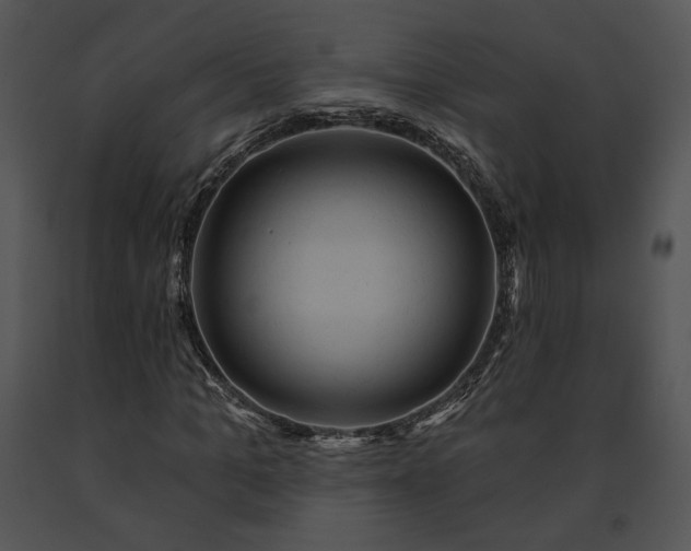 X0000091640965200708301355