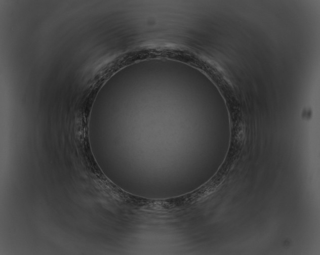 X0000091640966200708301355