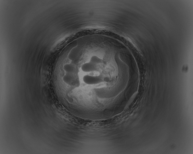 X0000091640967200708301355