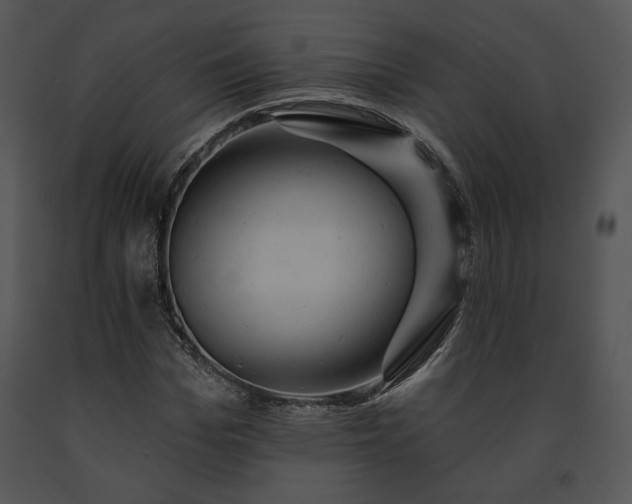 X0000091640969200708301355