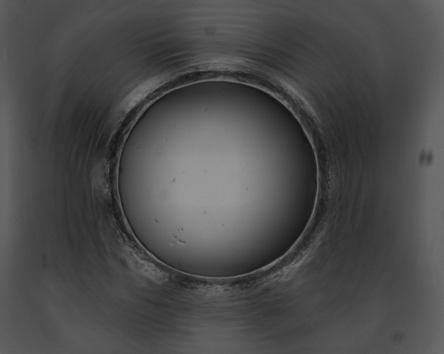 X0000091640970200708301355