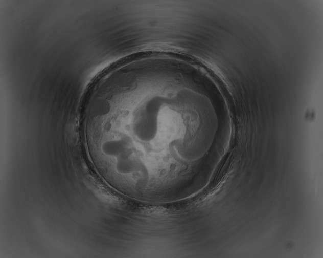 X0000091640971200708301355
