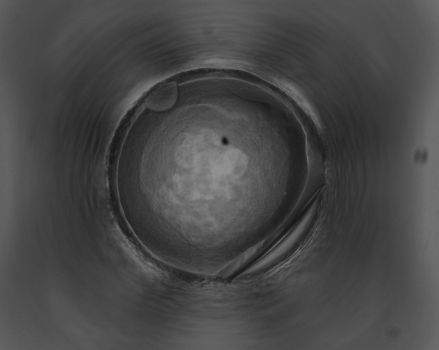 X0000091640972200708301355
