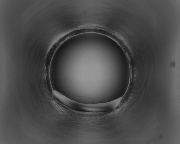 X0000091640973200708301355