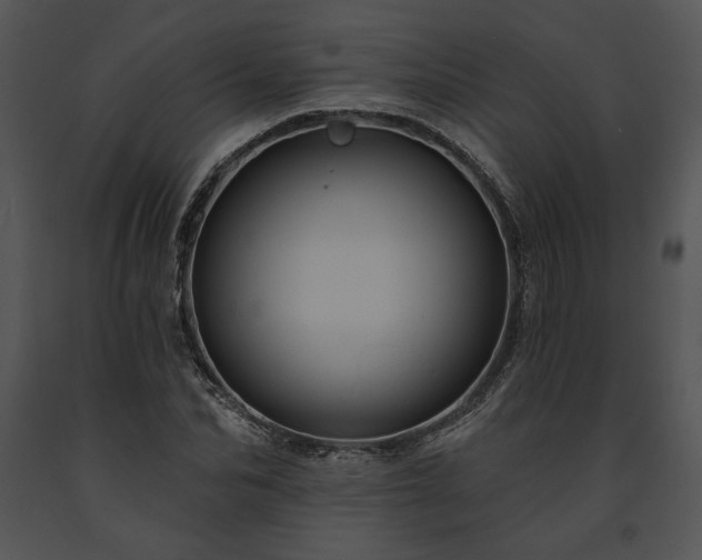 X0000091640974200708301355