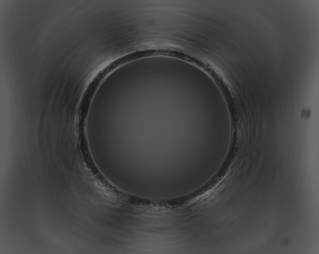 X0000091640975200708301355
